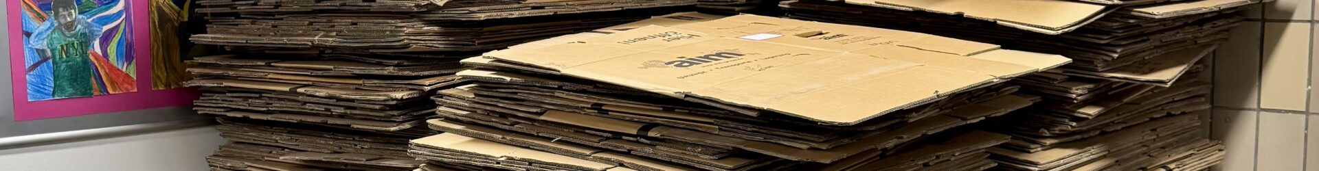 Es geht langsam los!