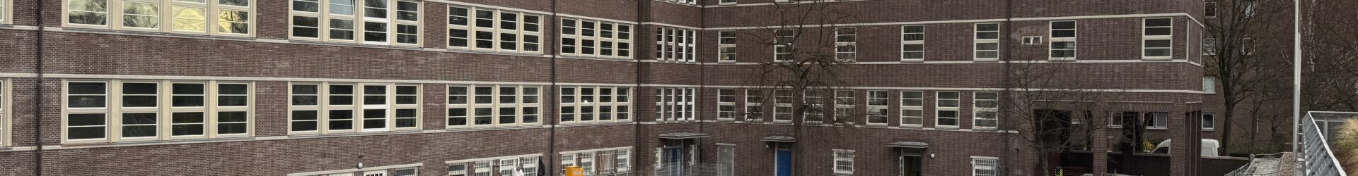 Der Hof nimmt Gestalt an